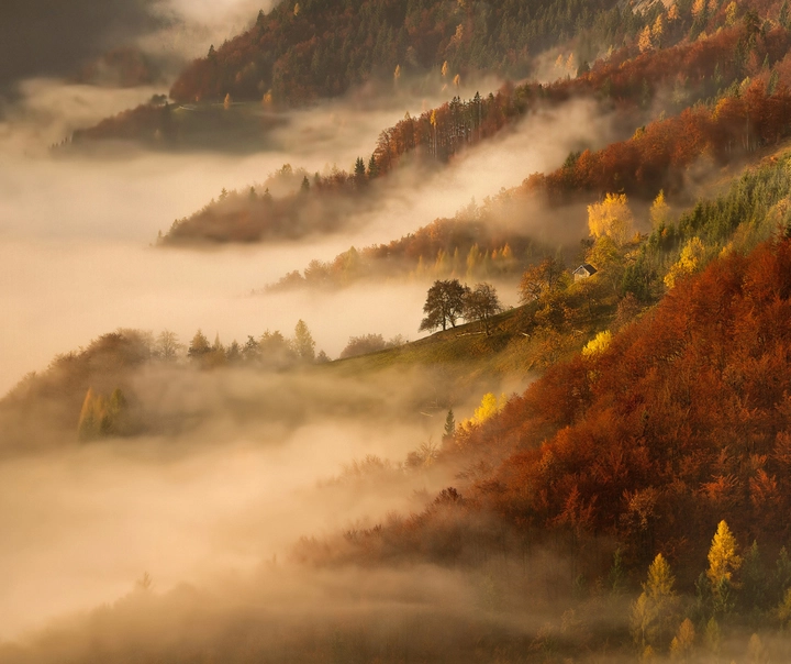 Automne & baisse de moral.