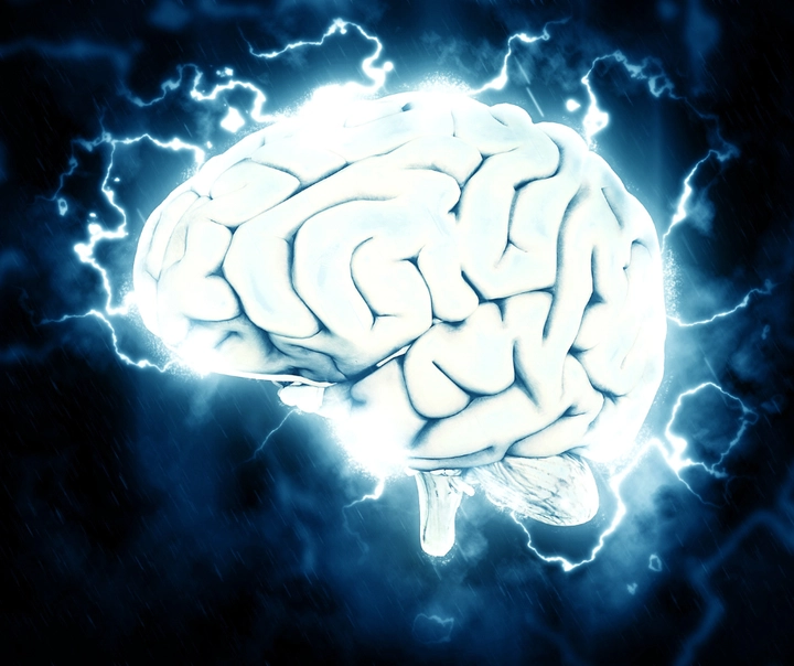 Cerveau & maladies neuro‑dégénératives.