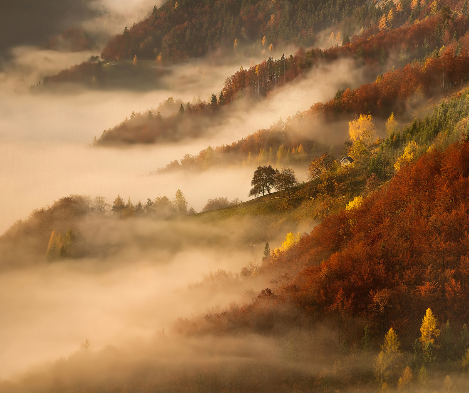 Automne & baisse de moral.
